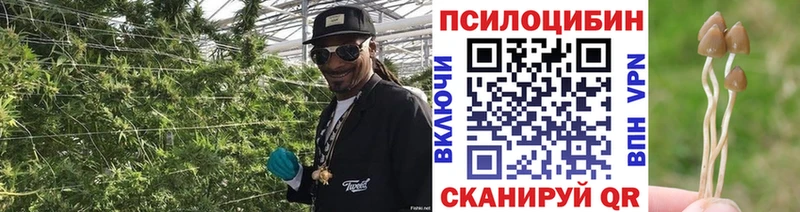 Псилоцибиновые грибы прущие грибы  KRAKEN как войти  Томмот 