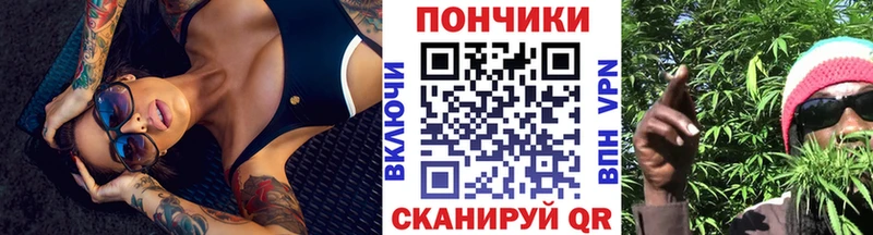 Бошки марихуана ГИДРОПОН Томмот